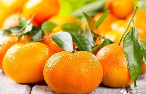 淄博探店橘子呀网红吃瓜视频