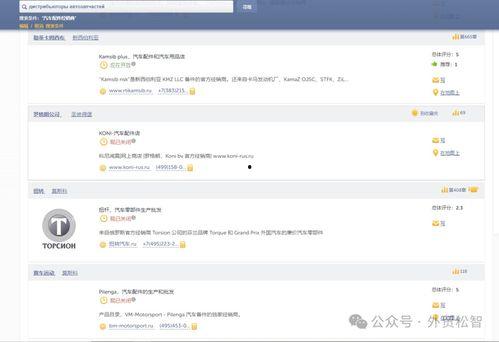 俄罗斯搜索引擎吃瓜网,带你领略俄语网络世界的独特魅力