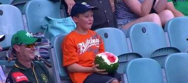 网红小男孩吃瓜,网红小男孩的甜蜜瓜食之旅