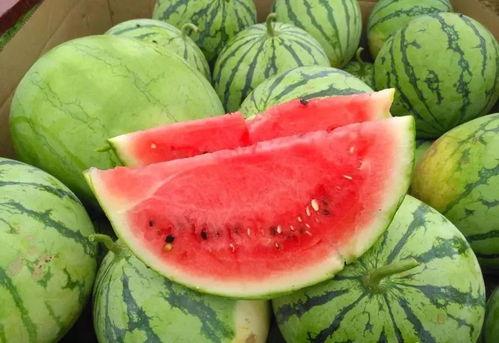 最新百万网红吃瓜图片,吃瓜现场揭秘！