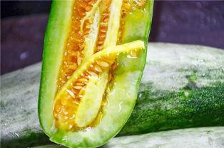 康县网红 吃瓜视频,揭秘网络热点背后的故事