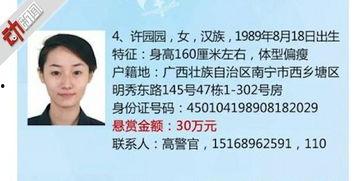 网贷案现高颜值女嫌犯吃瓜,网络迷雾中的“美女陷阱”揭秘”