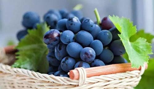 网红吃葡萄瓜视频,口感惊艳引网友热议！