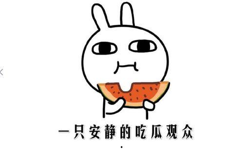 抖音网红瓜怎么吃,揭秘美味瓜果的多样吃法