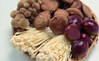 吃瓜网曝揭秘黑料蘑菇入口,蘑菇入口背后的惊人真相