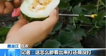 k8网络吃瓜需谨慎,吃瓜需谨慎，揭秘网络风险与应对策略