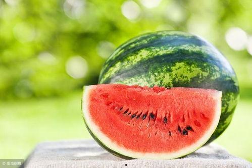 甘肃陇南网红吃瓜视频,揭秘当地特色美食与风土人情