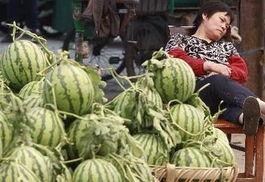 漳州网红吃瓜事件视频,揭秘网络舆论的风暴中心