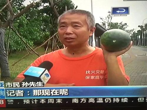 吃瓜网热门事件软件,揭秘网络热点背后的真相