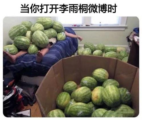 吃瓜网吃瓜大赛在线,在线狂欢,瓜界风云再起!